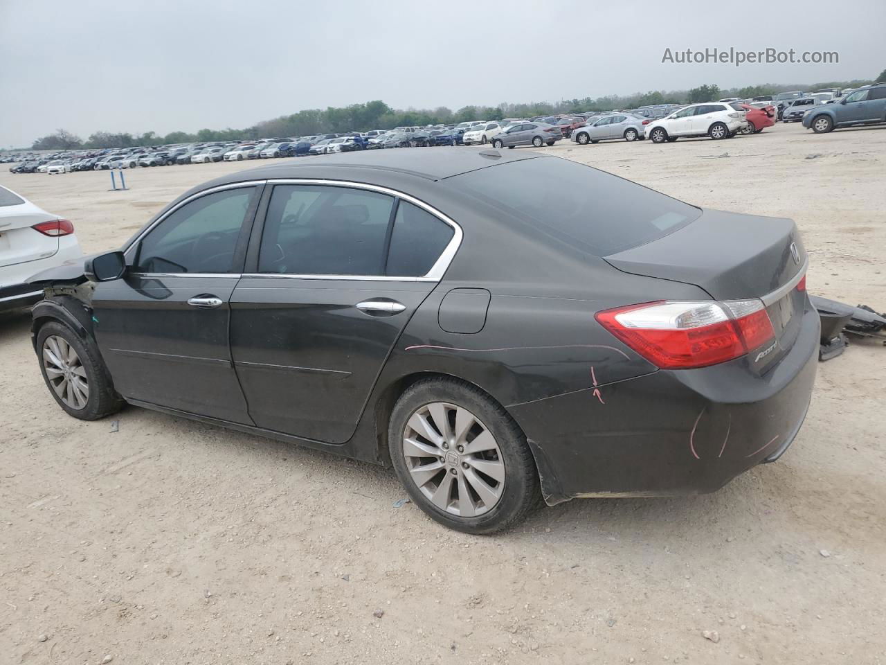 2014 Honda Accord Exl Серый vin: 1HGCR2F82EA005084