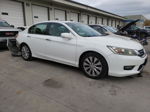 2014 Honda Accord Exl White vin: 1HGCR2F82EA011743