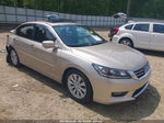 2014 Honda Accord Ex-l Beige vin: 1HGCR2F82EA040496