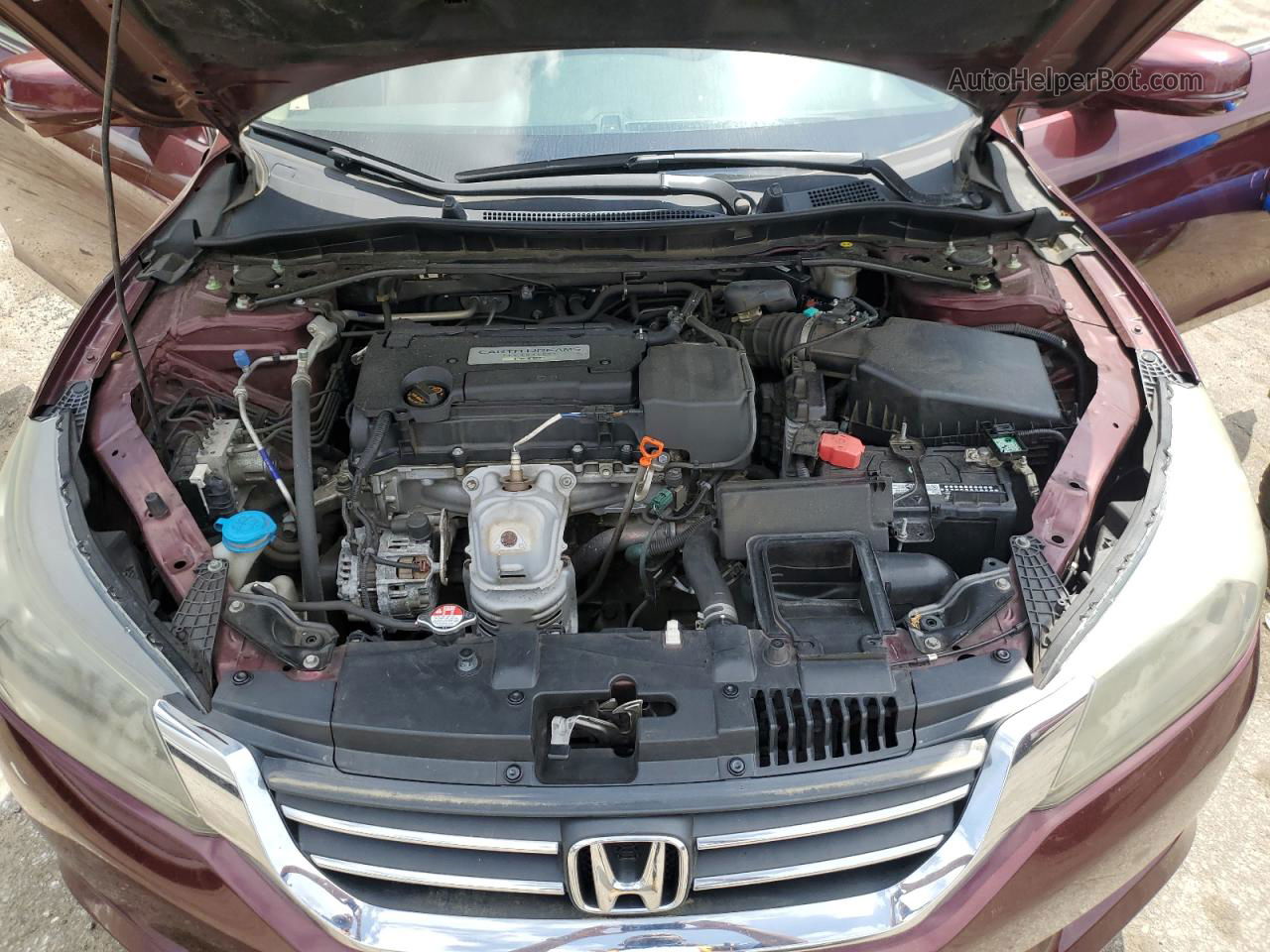 2014 Honda Accord Exl Burgundy vin: 1HGCR2F82EA124477