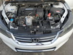 2014 Honda Accord Exl White vin: 1HGCR2F82EA148729