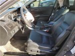 2014 Honda Accord Exl Серый vin: 1HGCR2F82EA153459