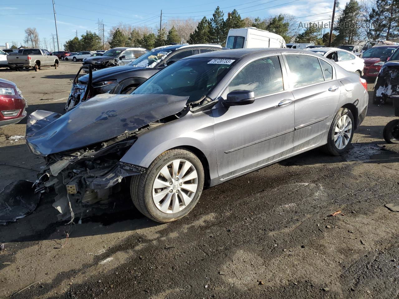 2014 Honda Accord Exl Серый vin: 1HGCR2F82EA153459