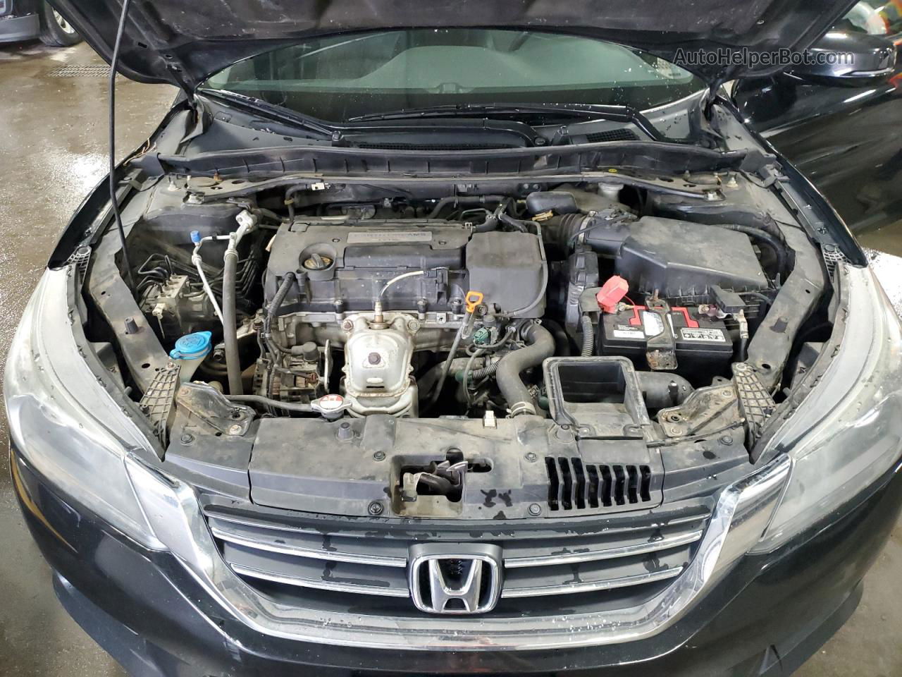 2014 Honda Accord Exl Черный vin: 1HGCR2F82EA200408