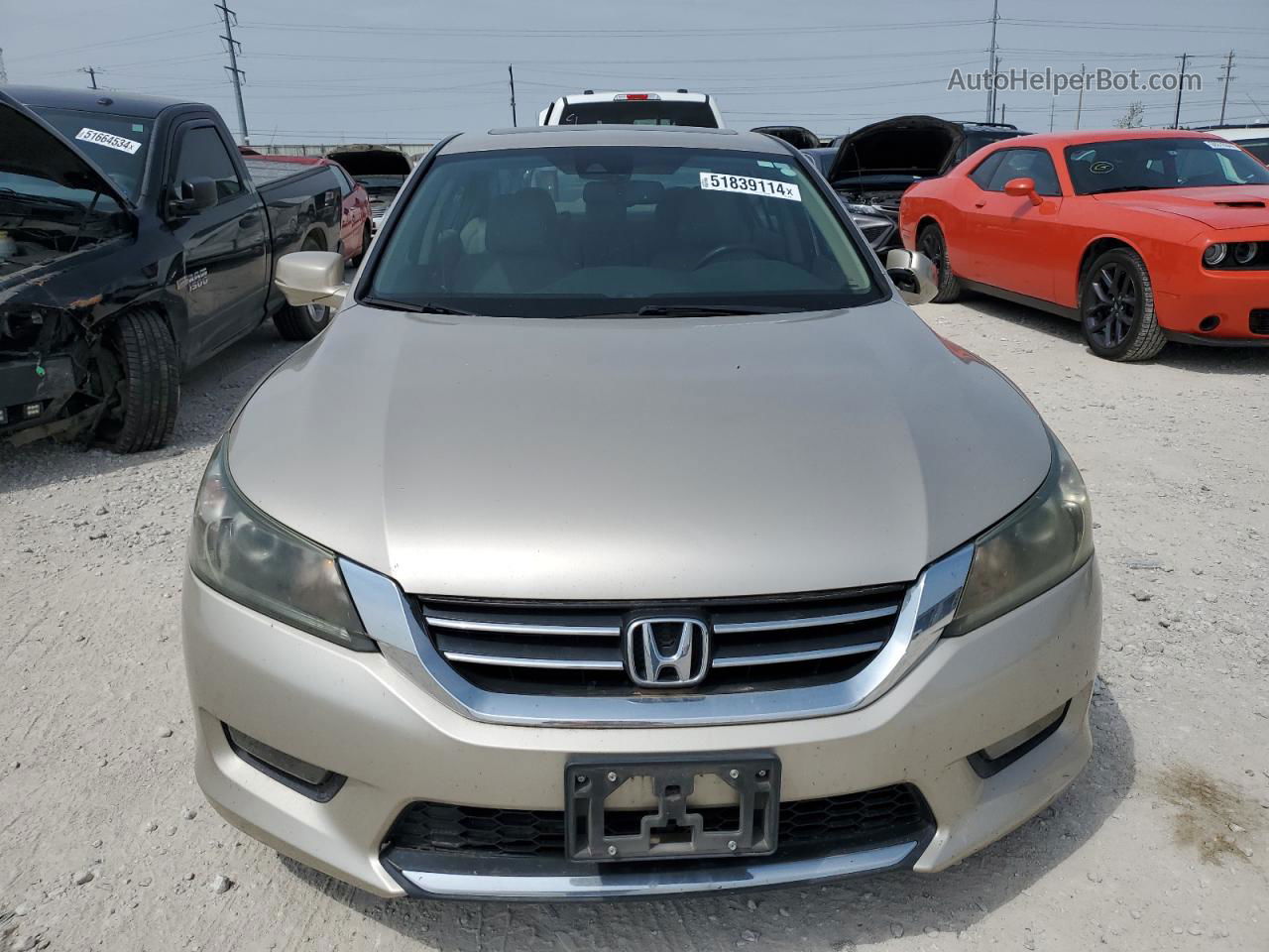 2014 Honda Accord Exl Желто-коричневый vin: 1HGCR2F82EA293690