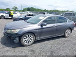 2015 Honda Accord Sedan Ex-l Gray vin: 1HGCR2F82FA203472