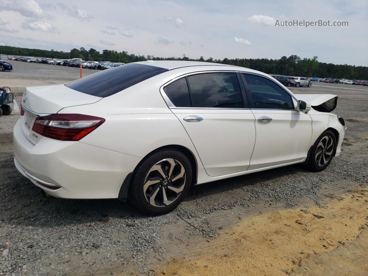 2016 Honda Accord Exl White vin: 1HGCR2F82GA131013