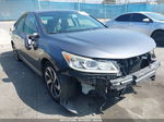 2017 Honda Accord Ex-l Gray vin: 1HGCR2F82HA103228