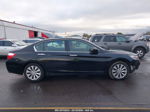 2014 Honda Accord Ex-l Black vin: 1HGCR2F83EA007314