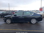 2014 Honda Accord Ex-l Black vin: 1HGCR2F83EA007314