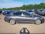 2014 Honda Accord Ex-l Gray vin: 1HGCR2F83EA019088