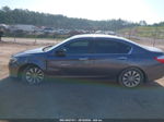 2014 Honda Accord Ex-l Gray vin: 1HGCR2F83EA019088