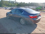 2014 Honda Accord Ex-l Gray vin: 1HGCR2F83EA019088