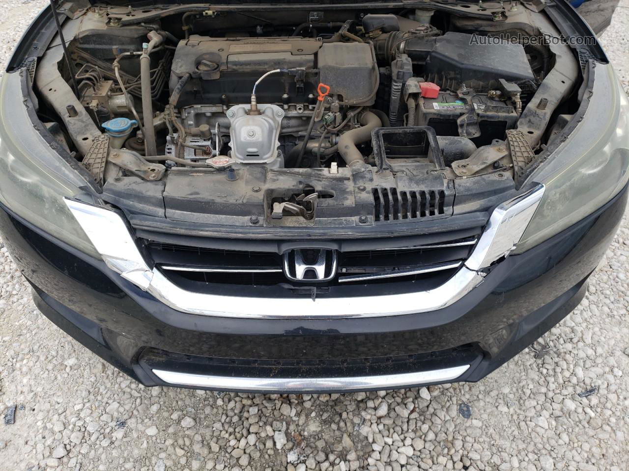 2014 Honda Accord Exl Черный vin: 1HGCR2F83EA137383