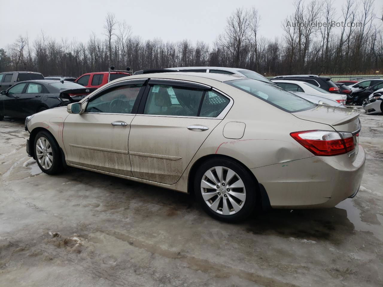 2014 Honda Accord Exl Gold vin: 1HGCR2F83EA254798