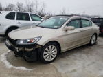 2014 Honda Accord Exl Gold vin: 1HGCR2F83EA254798