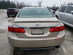 2014 Honda Accord Exl Gold vin: 1HGCR2F83EA254798