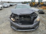 2014 Honda Accord Exl Gray vin: 1HGCR2F83EA305622