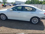 2014 Honda Accord Ex-l White vin: 1HGCR2F84EA159666