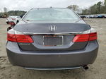 2014 Honda Accord Exl Gray vin: 1HGCR2F84EA192926