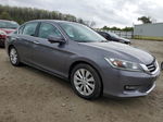 2014 Honda Accord Exl Gray vin: 1HGCR2F84EA192926