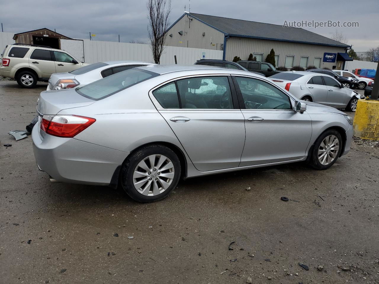 2014 Honda Accord Exl Серебряный vin: 1HGCR2F84EA213869