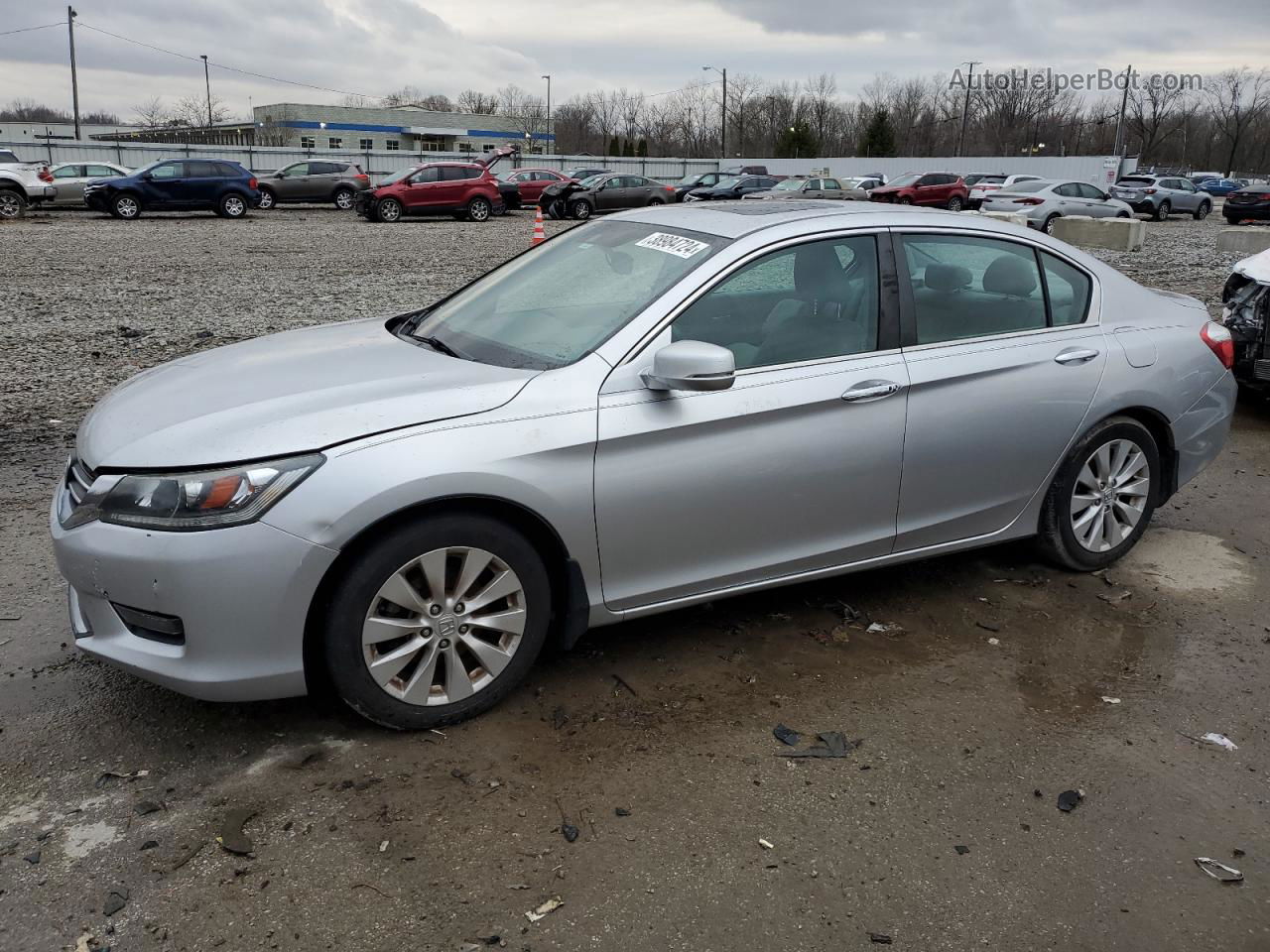 2014 Honda Accord Exl Серебряный vin: 1HGCR2F84EA213869