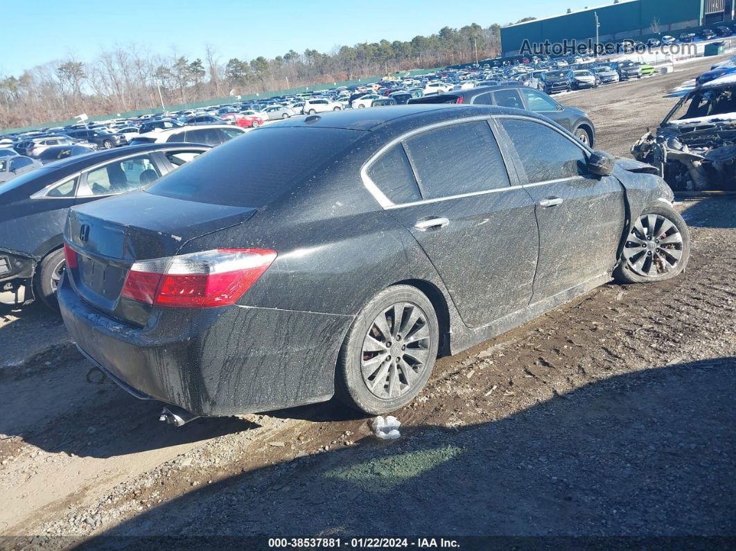 2014 Honda Accord Ex-l Черный vin: 1HGCR2F84EA302146