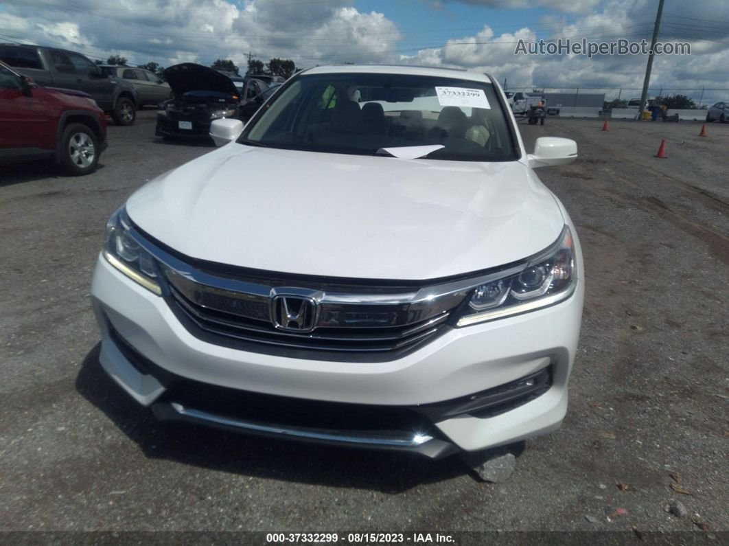 2017 Honda Accord Sedan Ex-l Белый vin: 1HGCR2F84HA012395