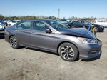 2017 Honda Accord Exl Серый vin: 1HGCR2F84HA015863