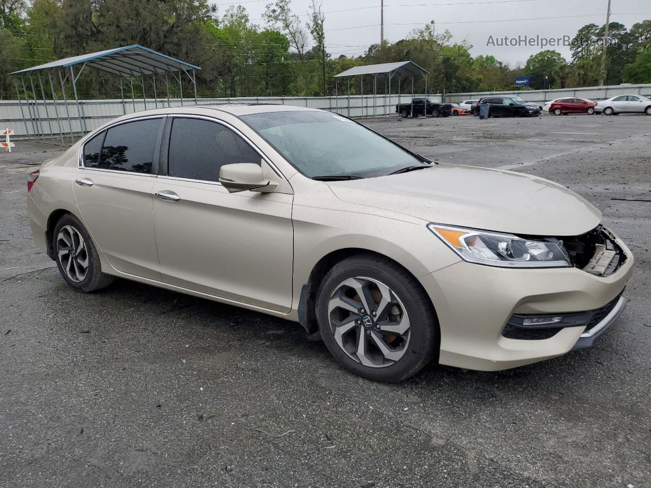 2017 Honda Accord Exl Gold vin: 1HGCR2F84HA305374