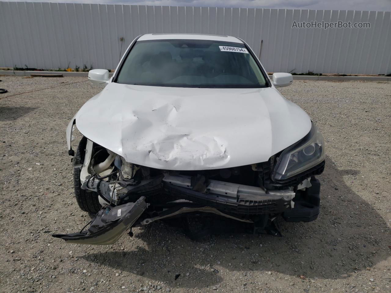 2014 Honda Accord Exl White vin: 1HGCR2F85EA080796