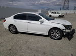 2014 Honda Accord Exl Белый vin: 1HGCR2F85EA080796