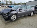 2014 Honda Accord Exl Gray vin: 1HGCR2F85EA143153