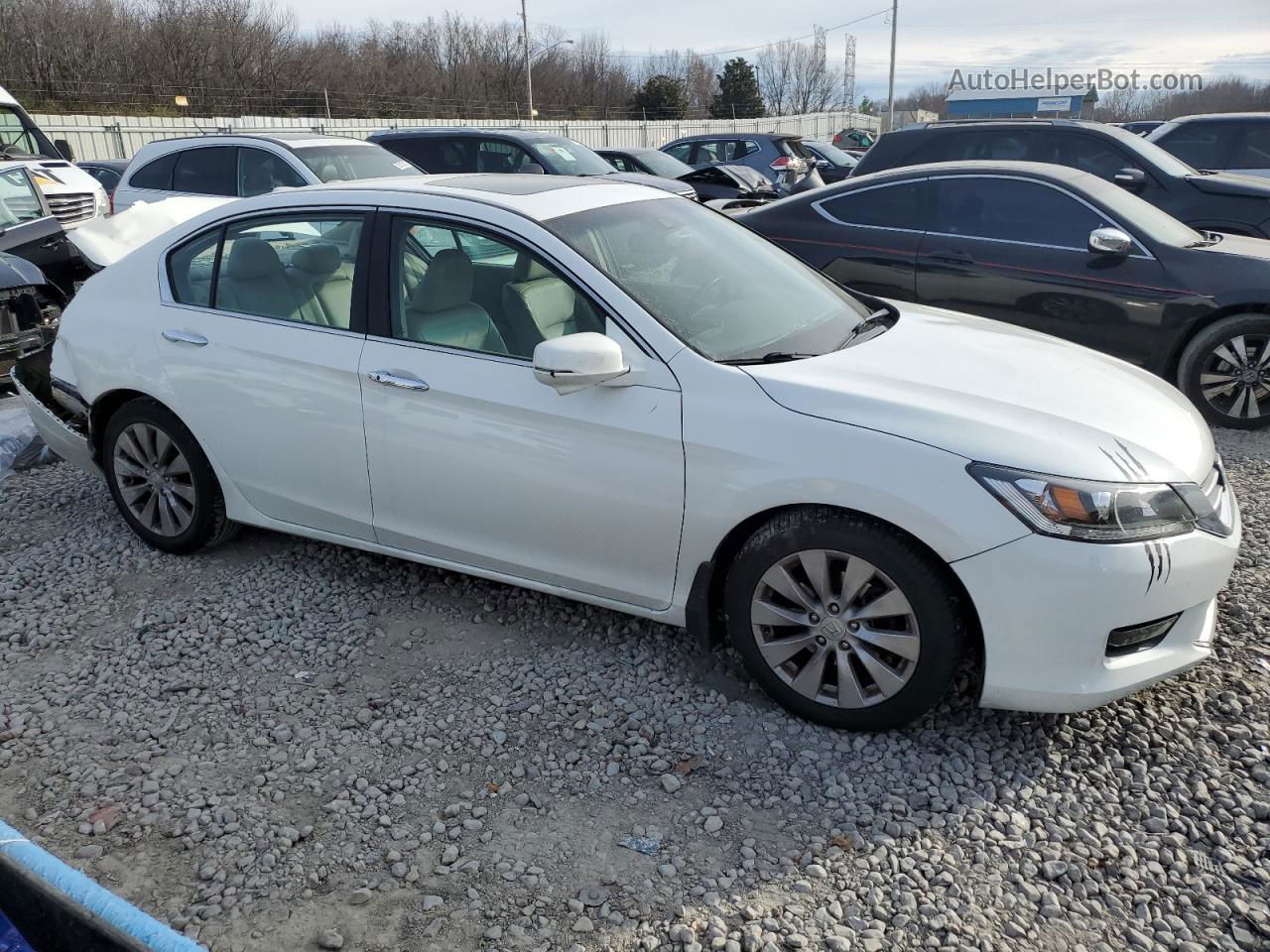 2014 Honda Accord Exl White vin: 1HGCR2F85EA195429