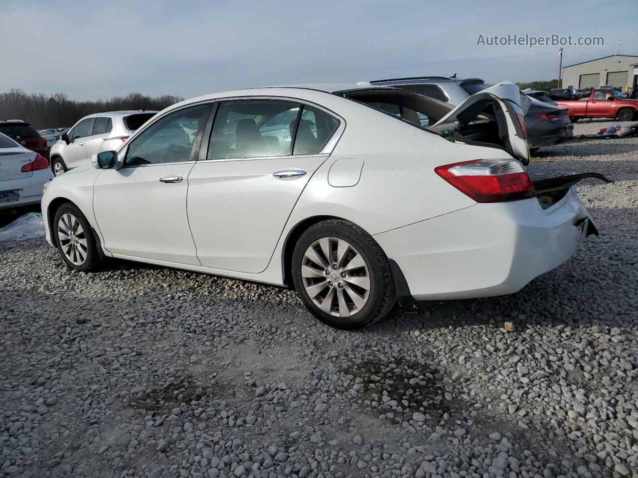 2014 Honda Accord Exl White vin: 1HGCR2F85EA195429