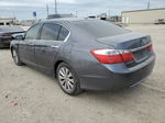 2014 Honda Accord Exl Gray vin: 1HGCR2F85EA297006