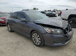 2014 Honda Accord Exl Серый vin: 1HGCR2F85EA297006