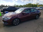 2017 Honda Accord Exl Бордовый vin: 1HGCR2F85HA117513