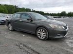 2014 Honda Accord Exl Charcoal vin: 1HGCR2F86EA047614