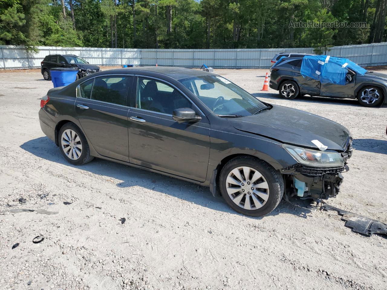 2014 Honda Accord Exl Серый vin: 1HGCR2F86EA066261