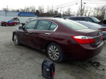 2014 Honda Accord Exl Maroon vin: 1HGCR2F86EA092777