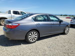 2014 Honda Accord Exl Gray vin: 1HGCR2F86EA151648