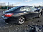 2014 Honda Accord Exl Black vin: 1HGCR2F86EA193642