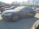 2017 Honda Accord Exl Black vin: 1HGCR2F86HA008963