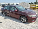 2014 Honda Accord Exl Темно-бордовый vin: 1HGCR2F87EA173450