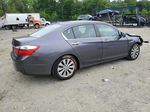 2014 Honda Accord Exl Gray vin: 1HGCR2F87EA224798