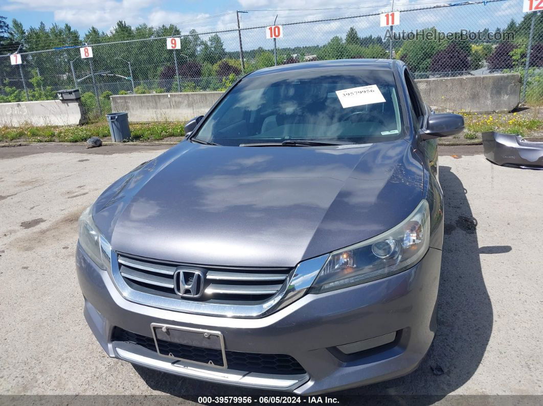 2014 Honda Accord Ex-l Blue vin: 1HGCR2F87EA226308