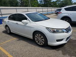 2014 Honda Accord Exl White vin: 1HGCR2F87EA230620