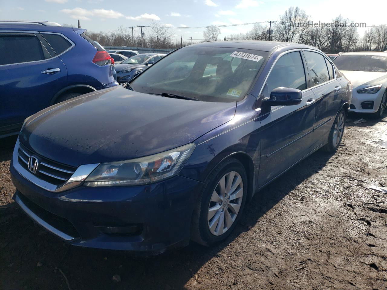 2014 Honda Accord Exl Blue vin: 1HGCR2F87EA306661